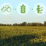 image with field windmill agricultural concept 90x90
